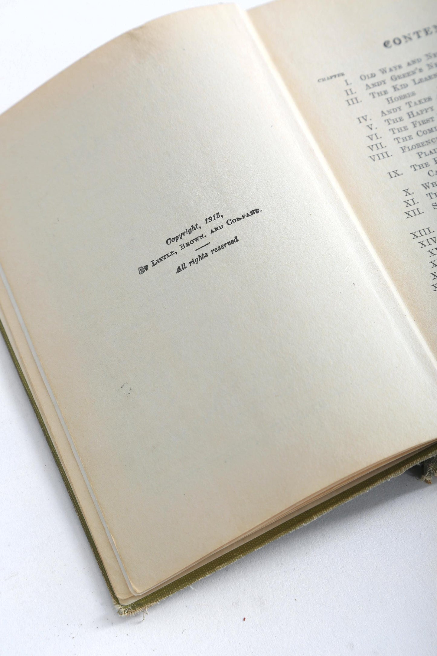 1915 the flying U's Last stand B.M. Bower book