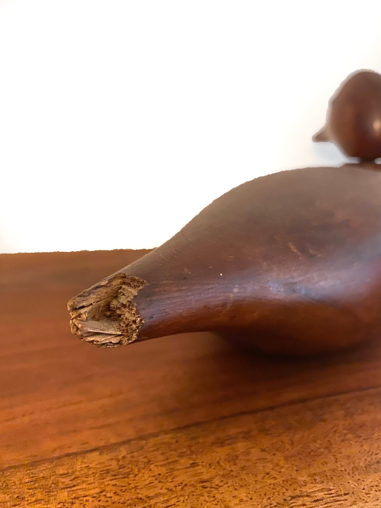 Antique vintage 1900s solid wood duck decoy Mallard