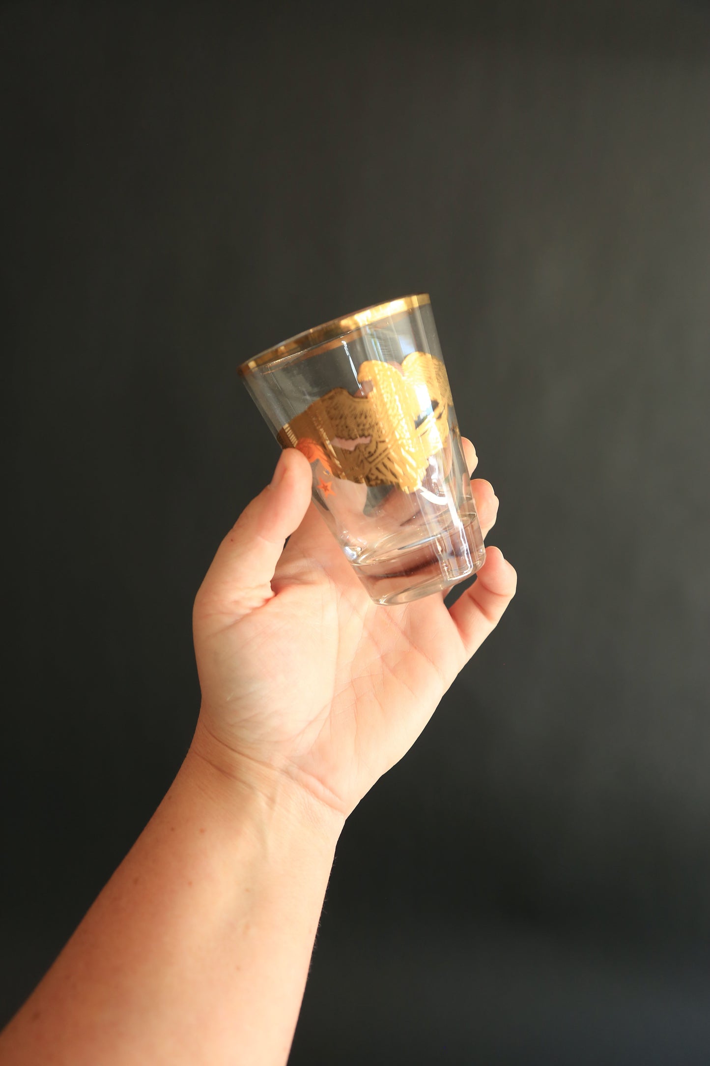 Vintage Gay Fad Americana 22K gold Gilt Eagles Shot glasses Set of 6